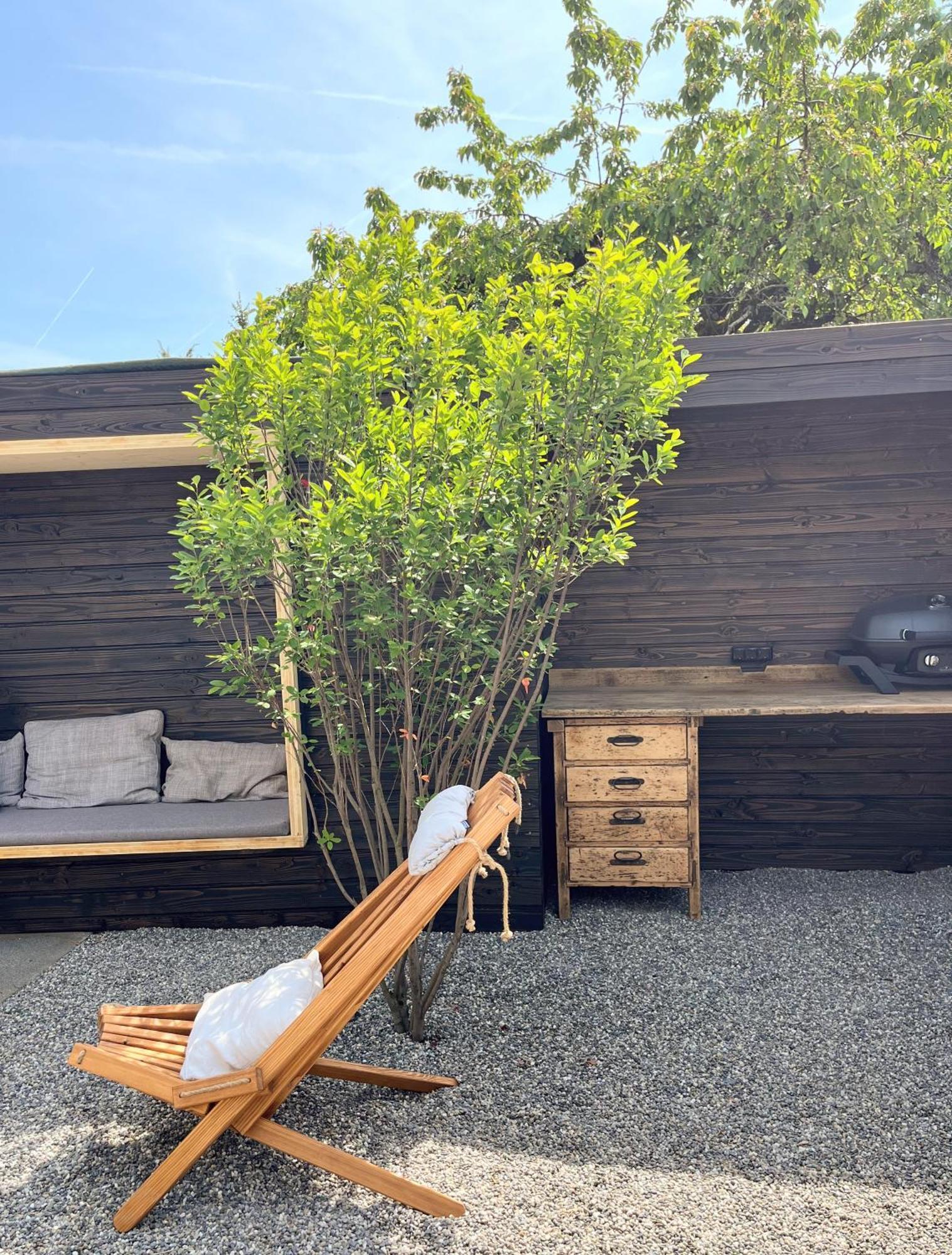 Holiday home Goethe49 - Wunderschoenes Charakter Gaestehaus Mit Genialem Outdoor Bereich & Ueberdurchschnittlicher Austattung Rielasingen-Worblingen